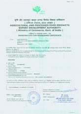 RCMC Certificate