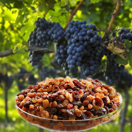 Dried-Grapes